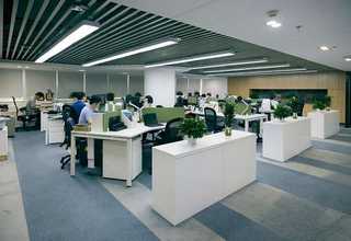 嘉定区市政绿化预算