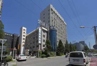 云南标准食用菌销售价格