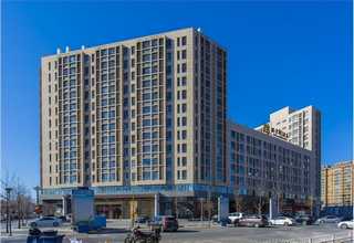 奉贤区公司绿化种植