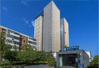 三门红美人欢迎选购